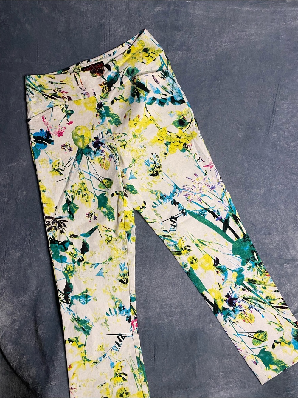 Krazy Larry Women’s Floral Pull-On Pants size 2 Leaves Botanical Multicolor